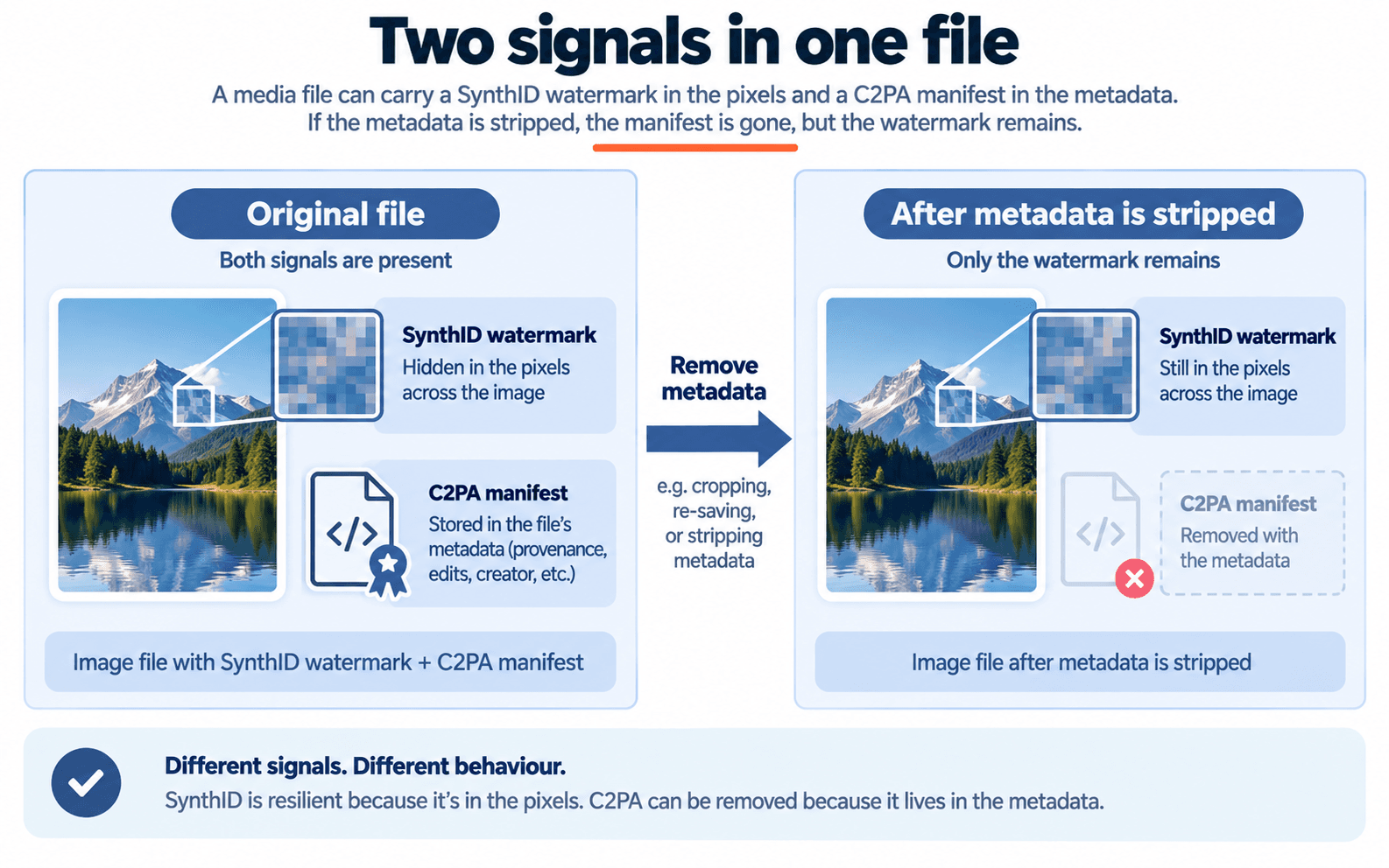 One image file shown before and after its metadata is stripped. In the original file both signals are present: a SynthID watermark hidden in the pixels across the image, and a C2PA manifest stored in the file's metadata holding provenance, edits and creator. After cropping, re-saving or stripping metadata, the C2PA manifest is removed with the metadata and only the watermark is left in the pixels.